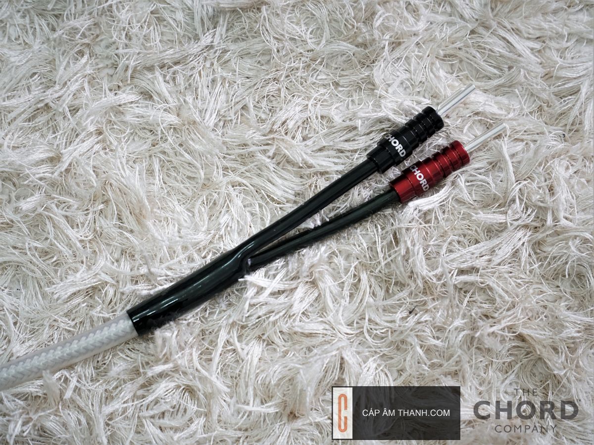 Cáp âm thanh | Phụ kiện âm thanh cao cấp chính hãng |