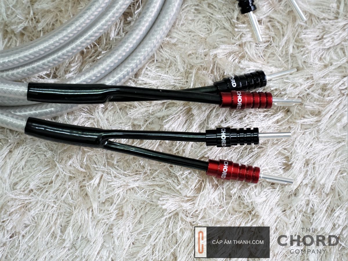 Cáp âm thanh | Phụ kiện âm thanh cao cấp chính hãng |