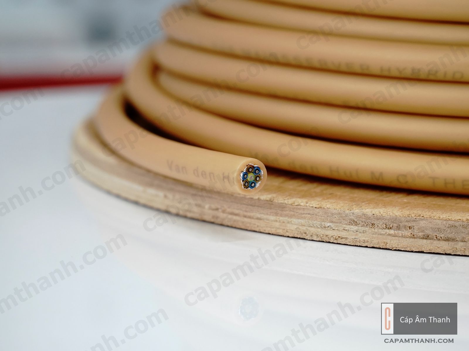Cáp âm thanh | Phụ kiện âm thanh cao cấp chính hãng |