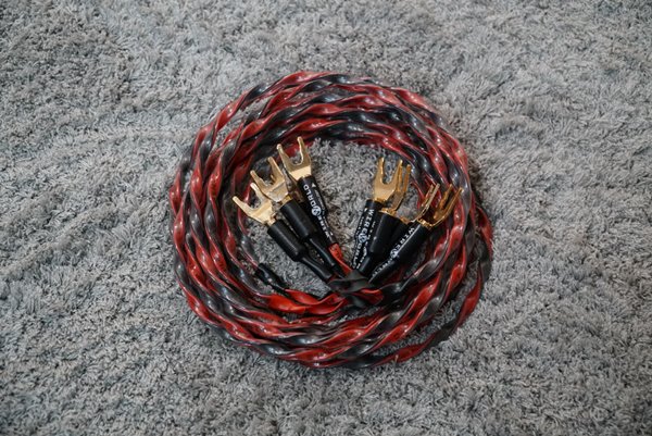 dây loa Wireworld